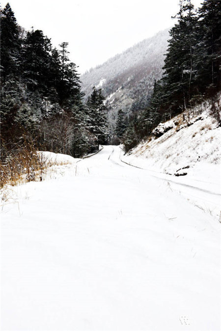 原來河南大雪過后這么美